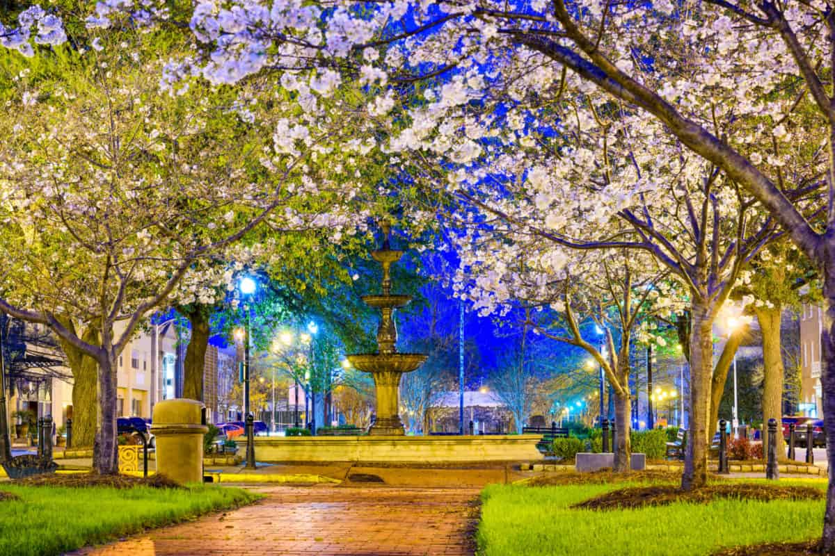 Home Care Agencies In Macon Ga