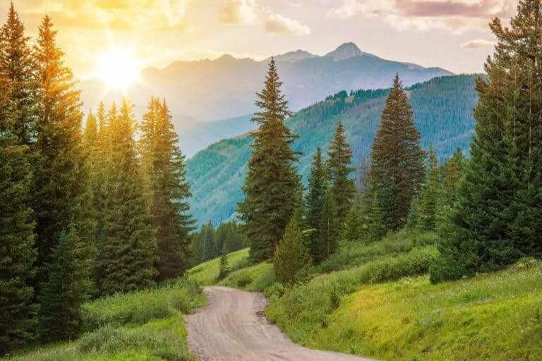 Adoption in Colorado