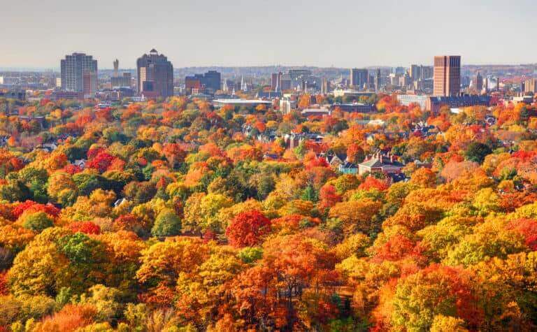 Adoption in Connecticut