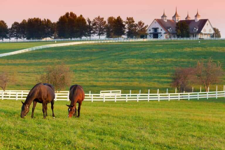 Adoption in Kentucky
