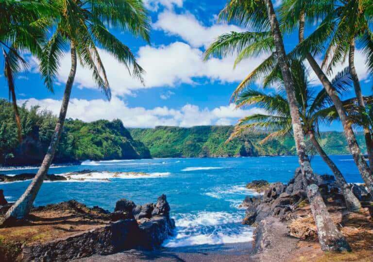 Adoption in Hawaii