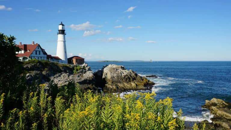 Adoption in Maine