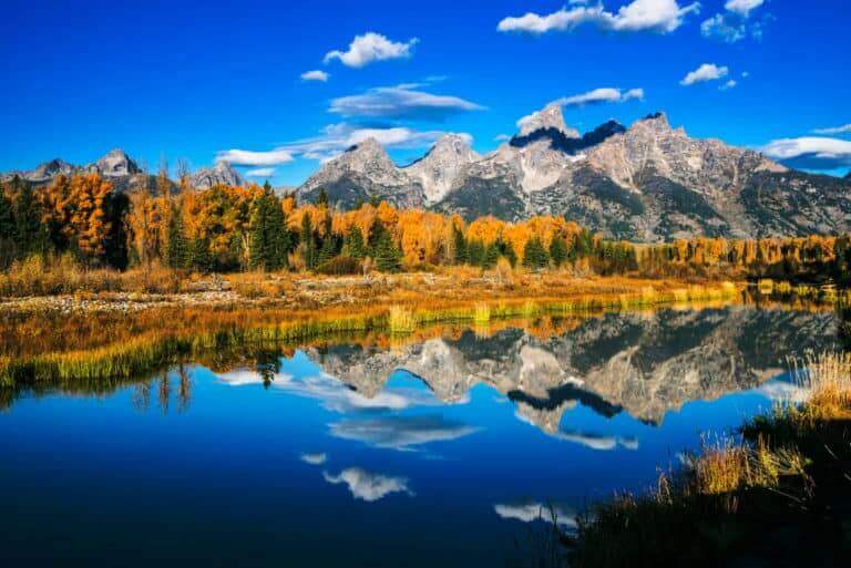 Adoption in Wyoming
