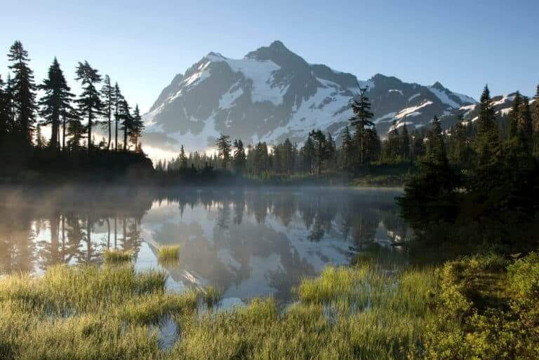 Adoption in Washington
